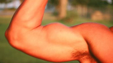 Workouts by Body Part